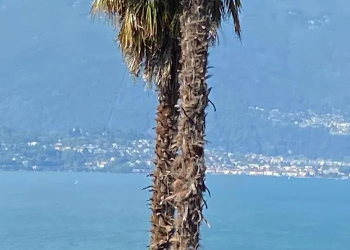 Дом отдыха Casa Calma *